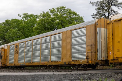 TTGX 822482