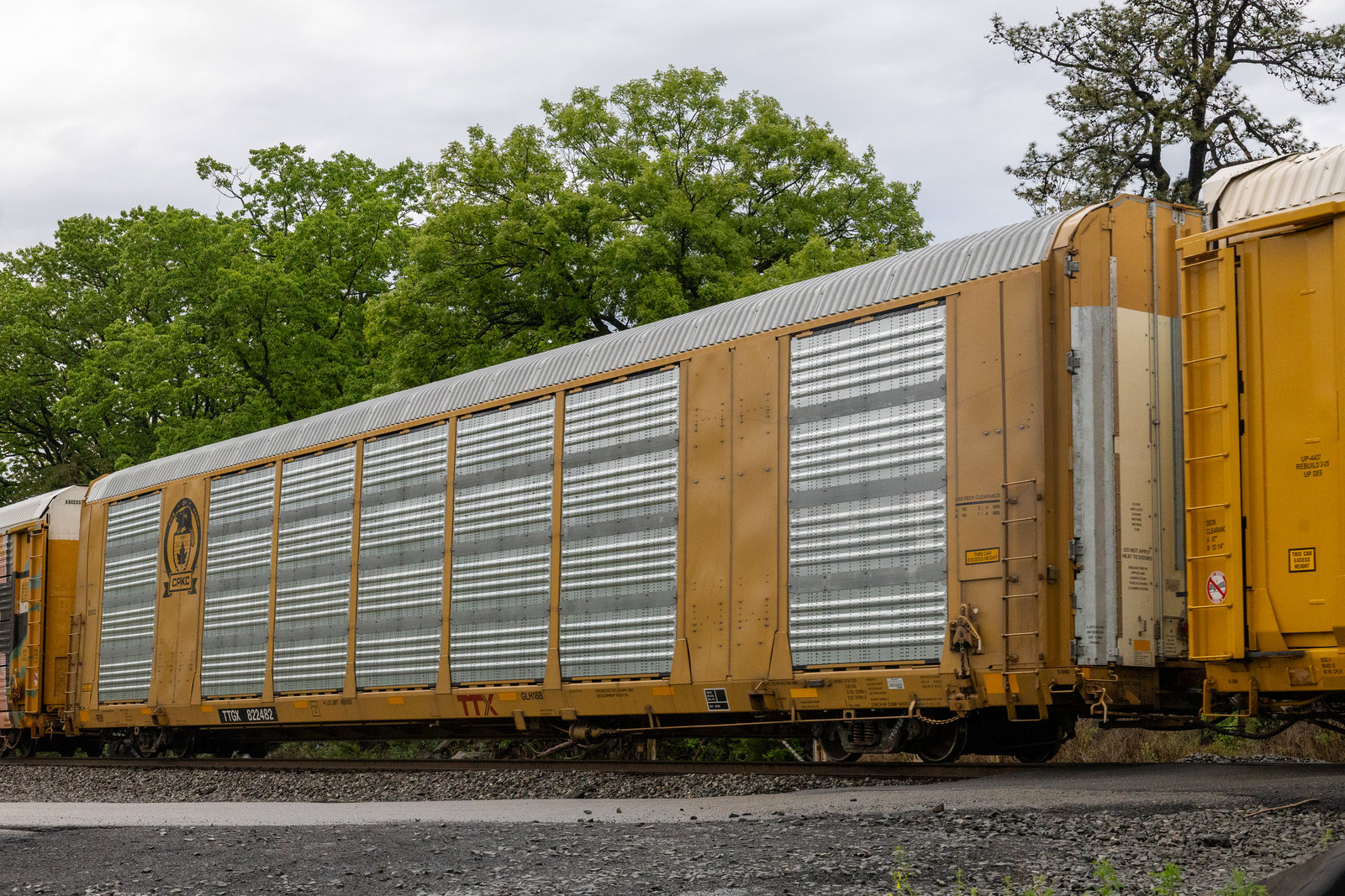 TTGX 822482