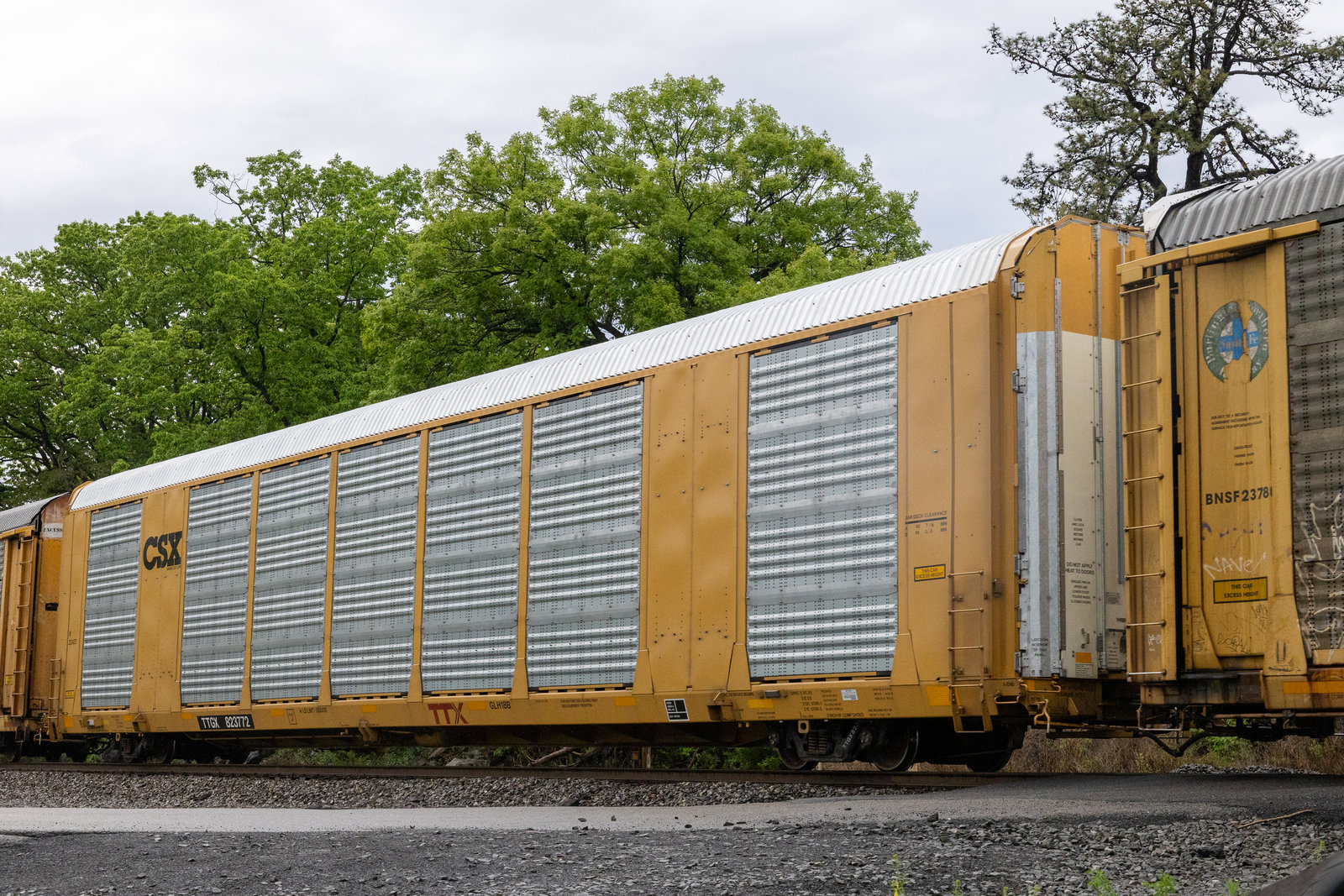 TTGX 823772