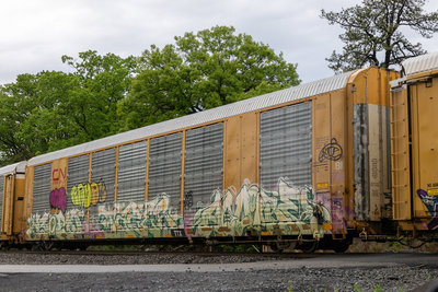 TTGX 695823