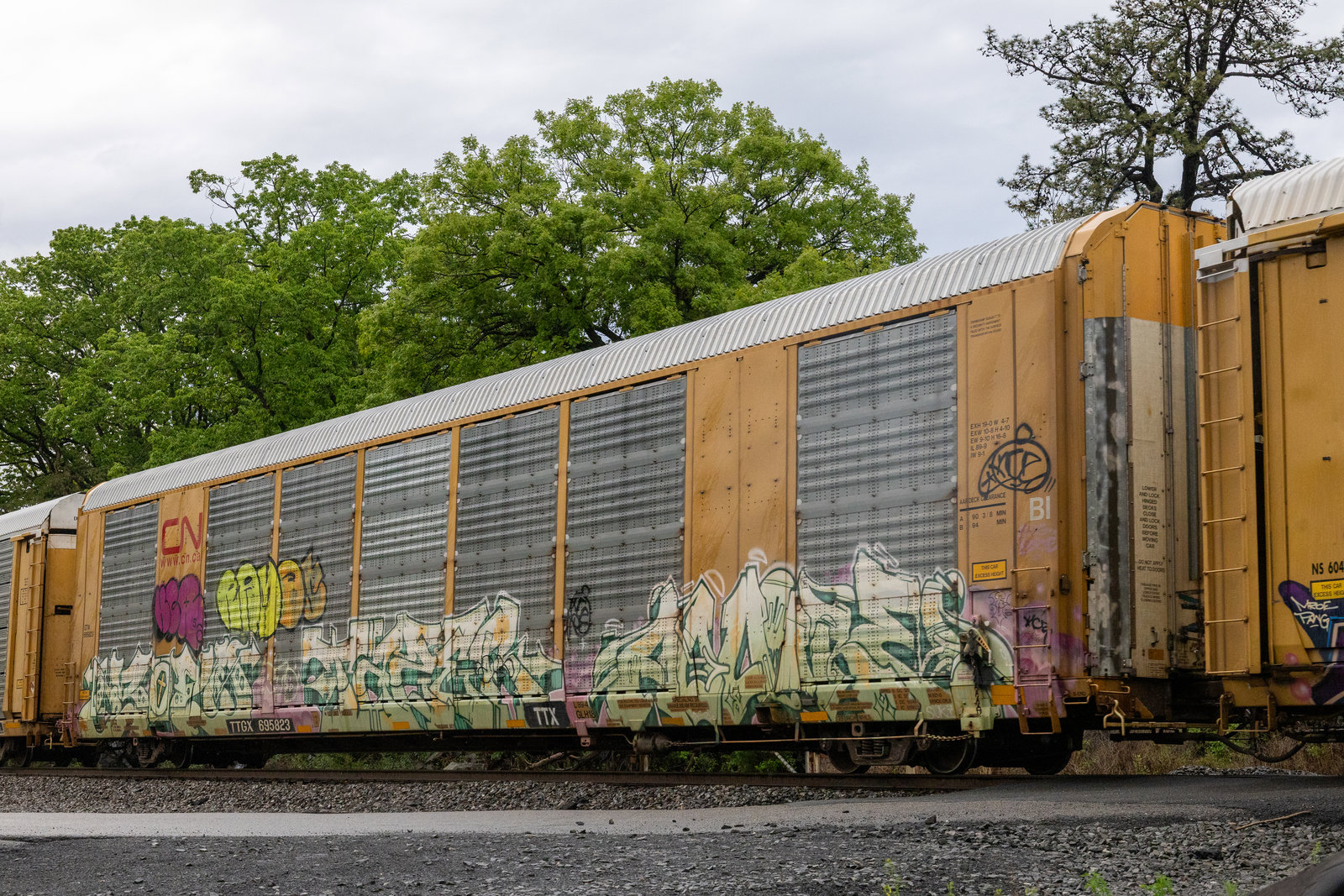 TTGX 695823