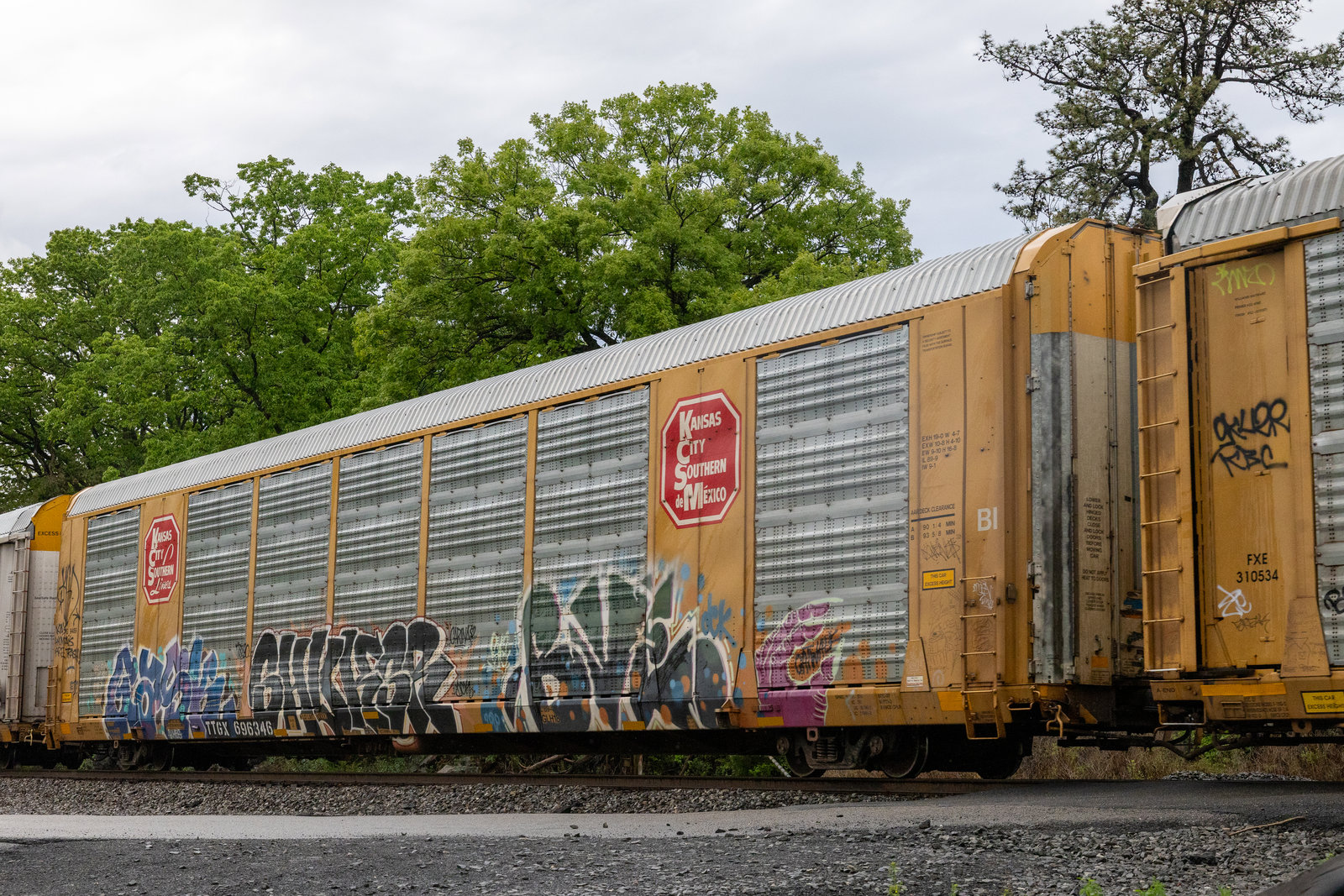TTGX 696346
