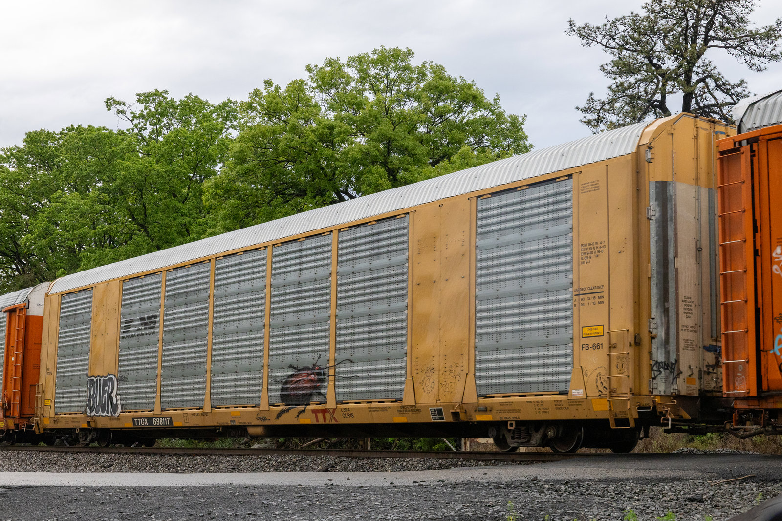 TTGX 698117