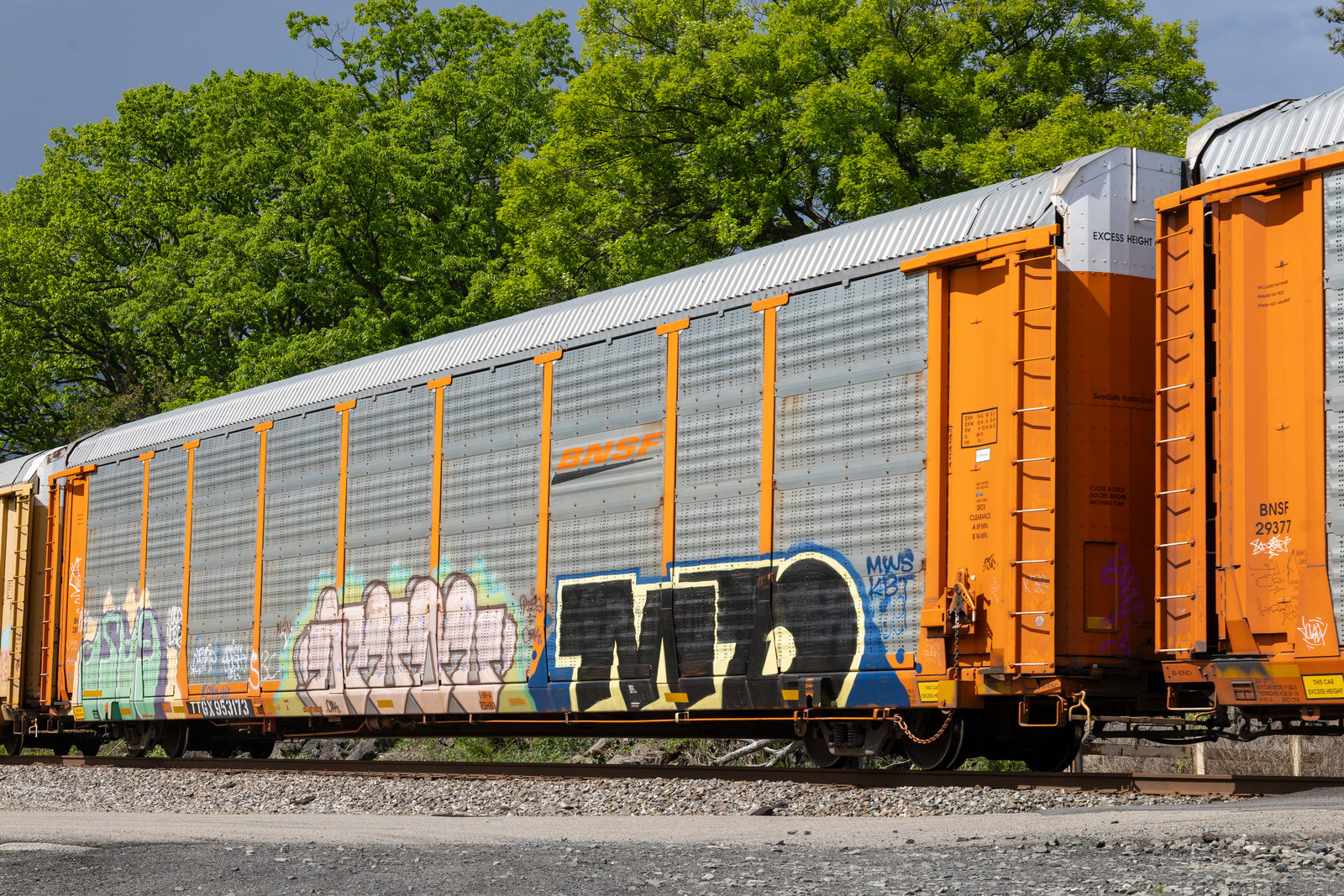 TTGX 953173