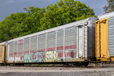 TTGX 705601
