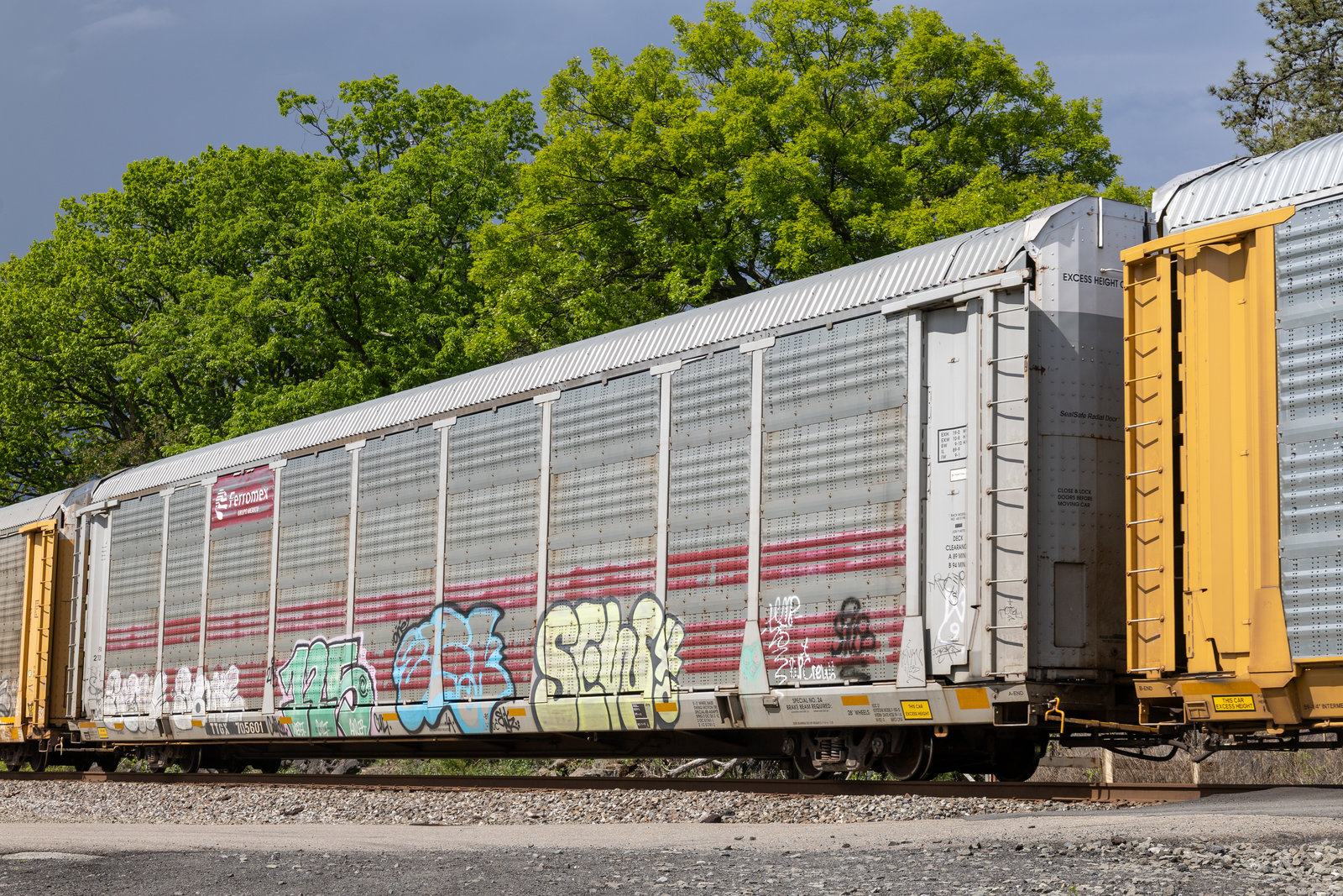 TTGX 705601