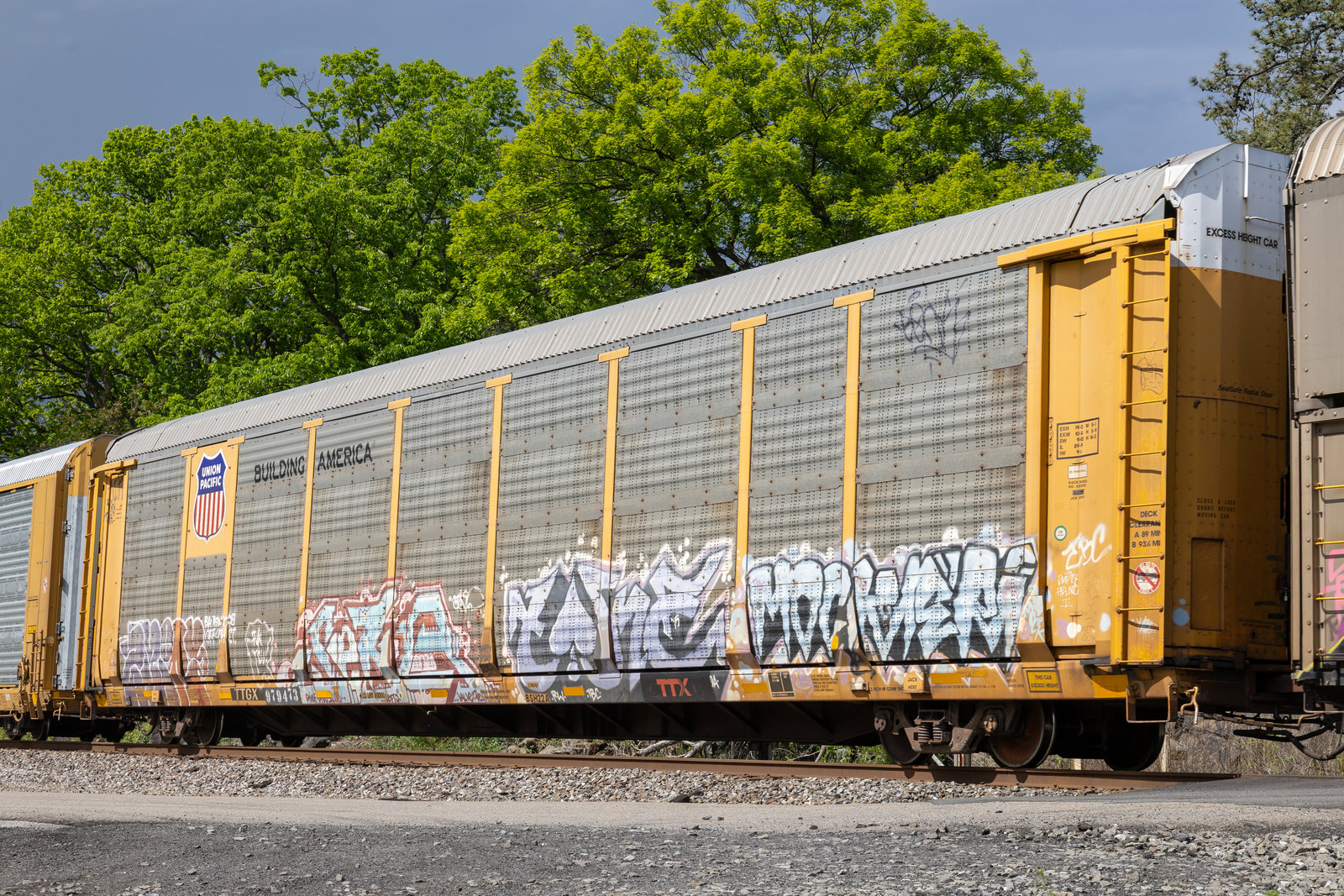 TTGX 979473