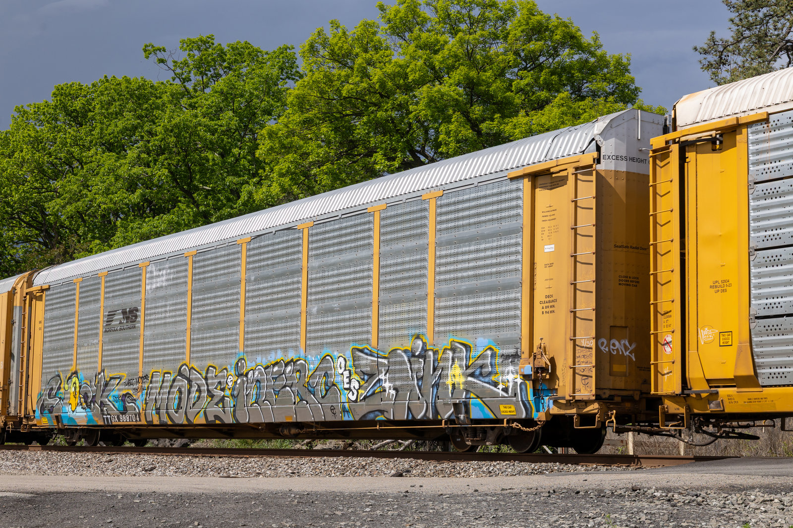 TTGX 988704