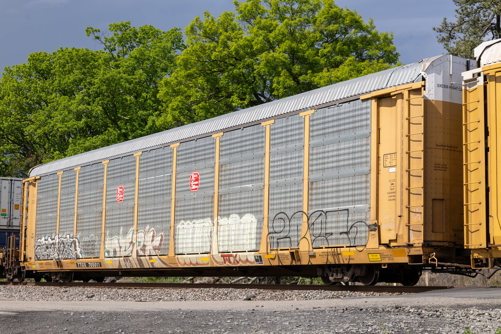 TTGX 705011