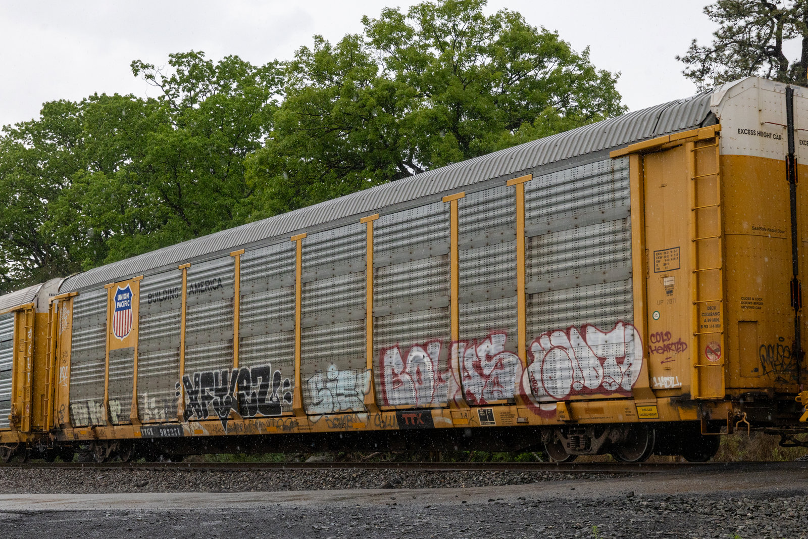 TTGX 982271