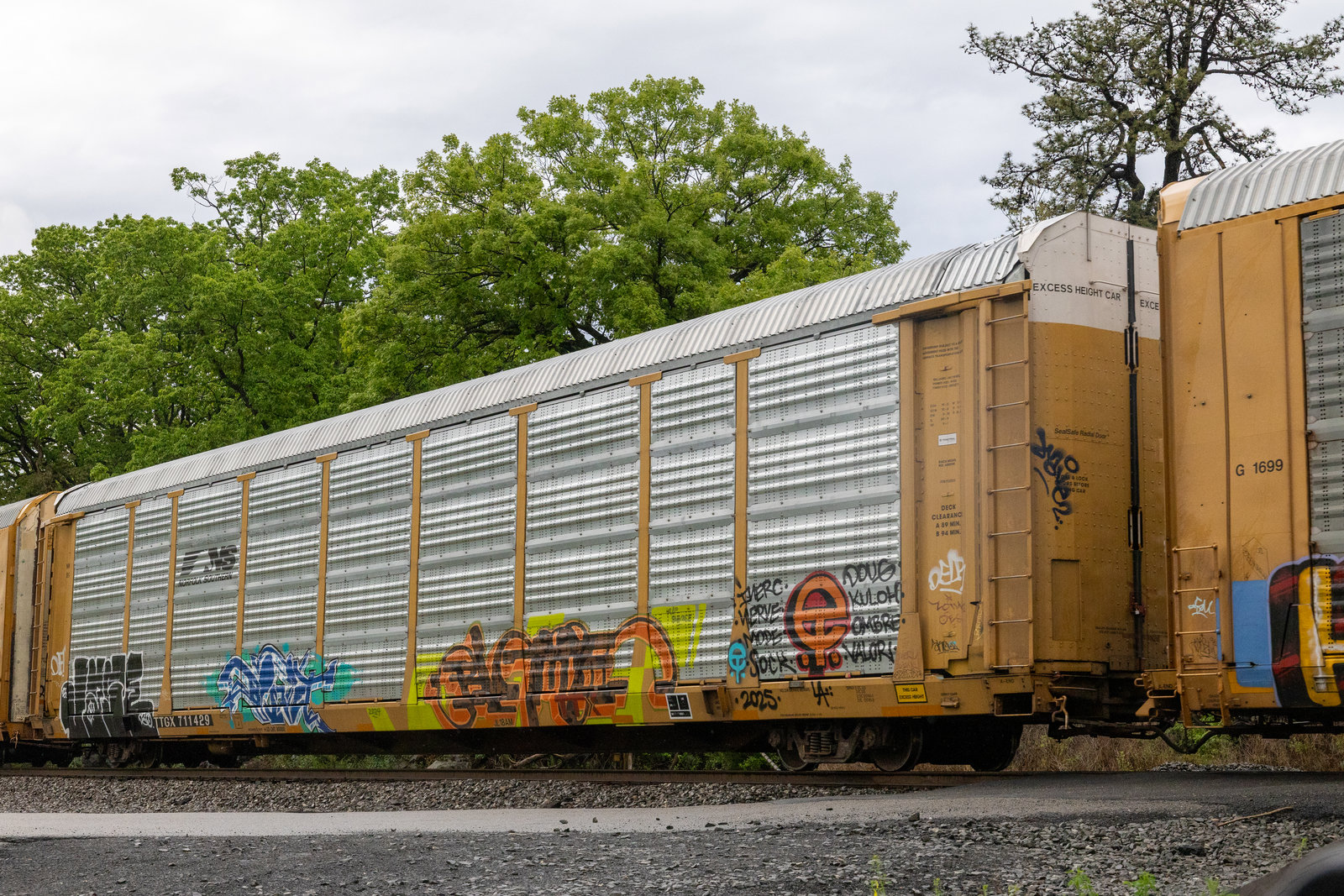 TTGX 711429
