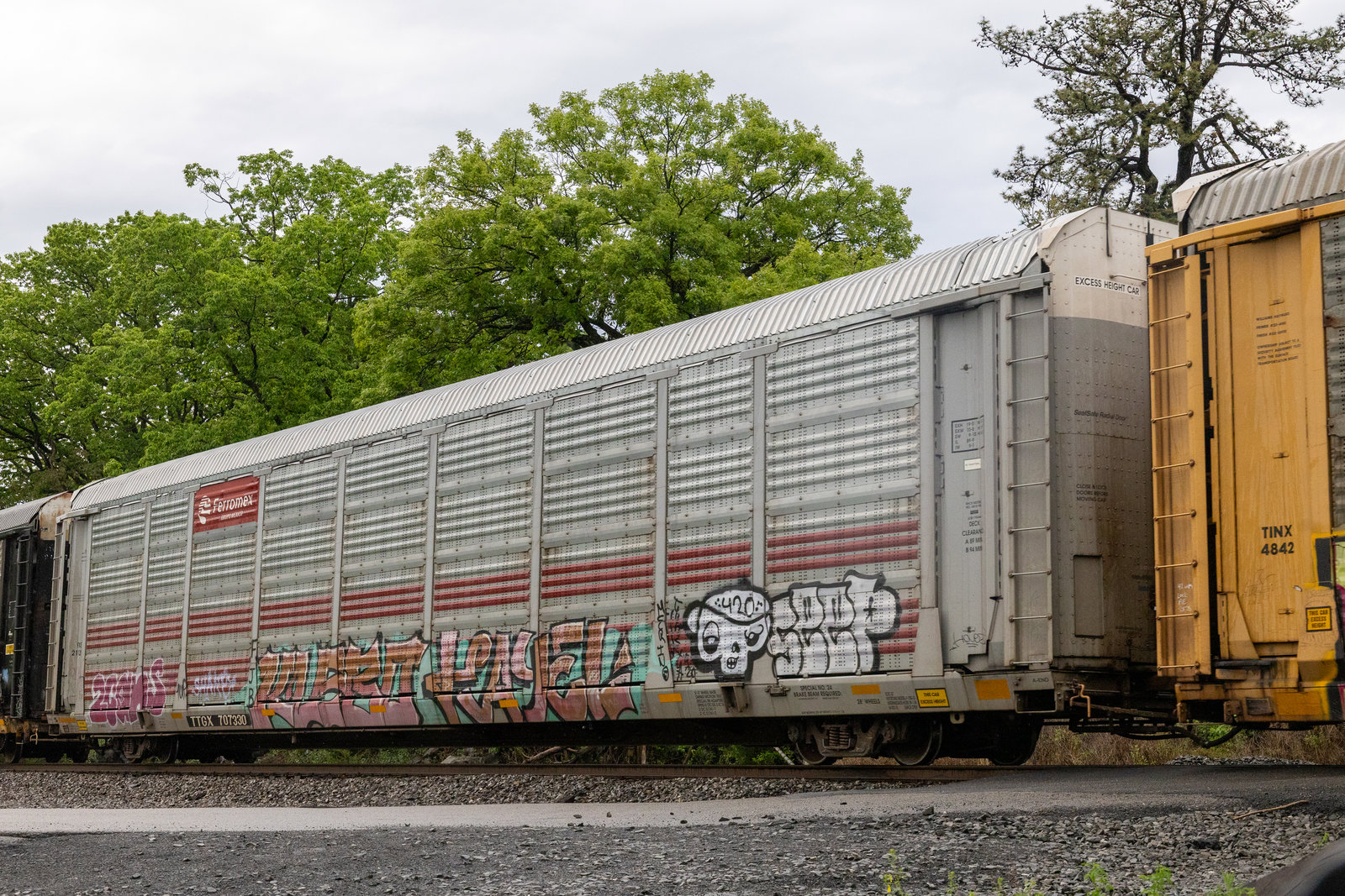 TTGX 707330
