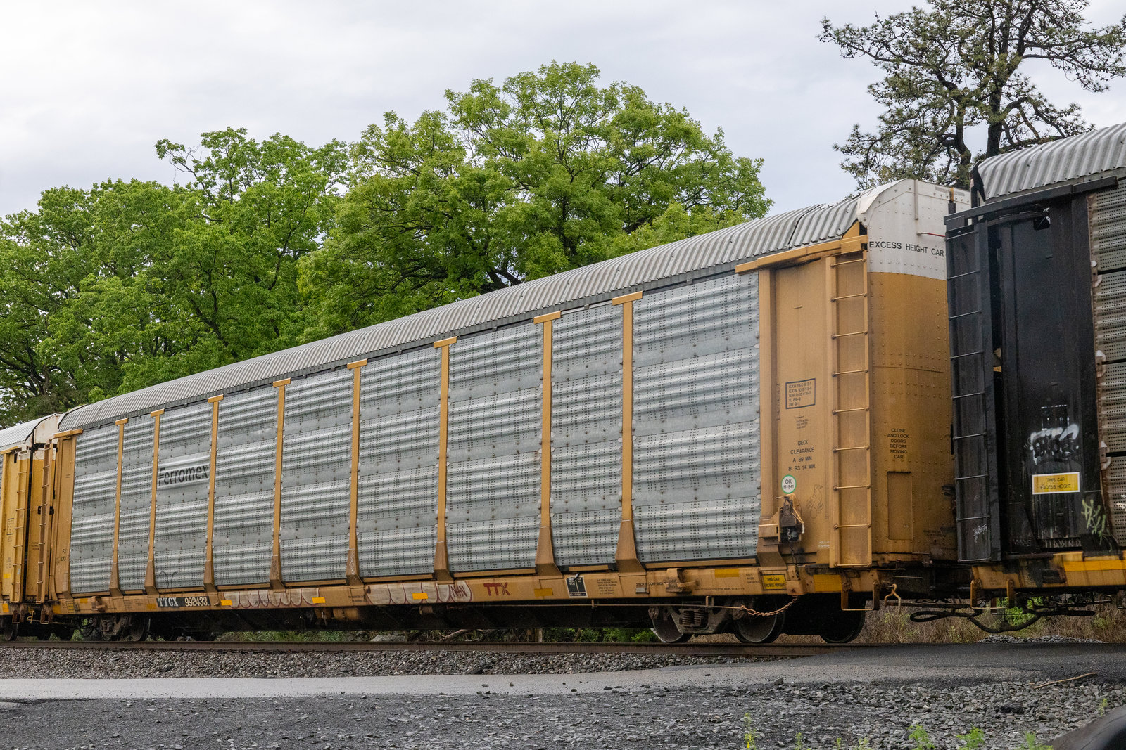 TTGX 992433