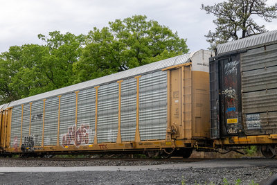 TTGX 707124