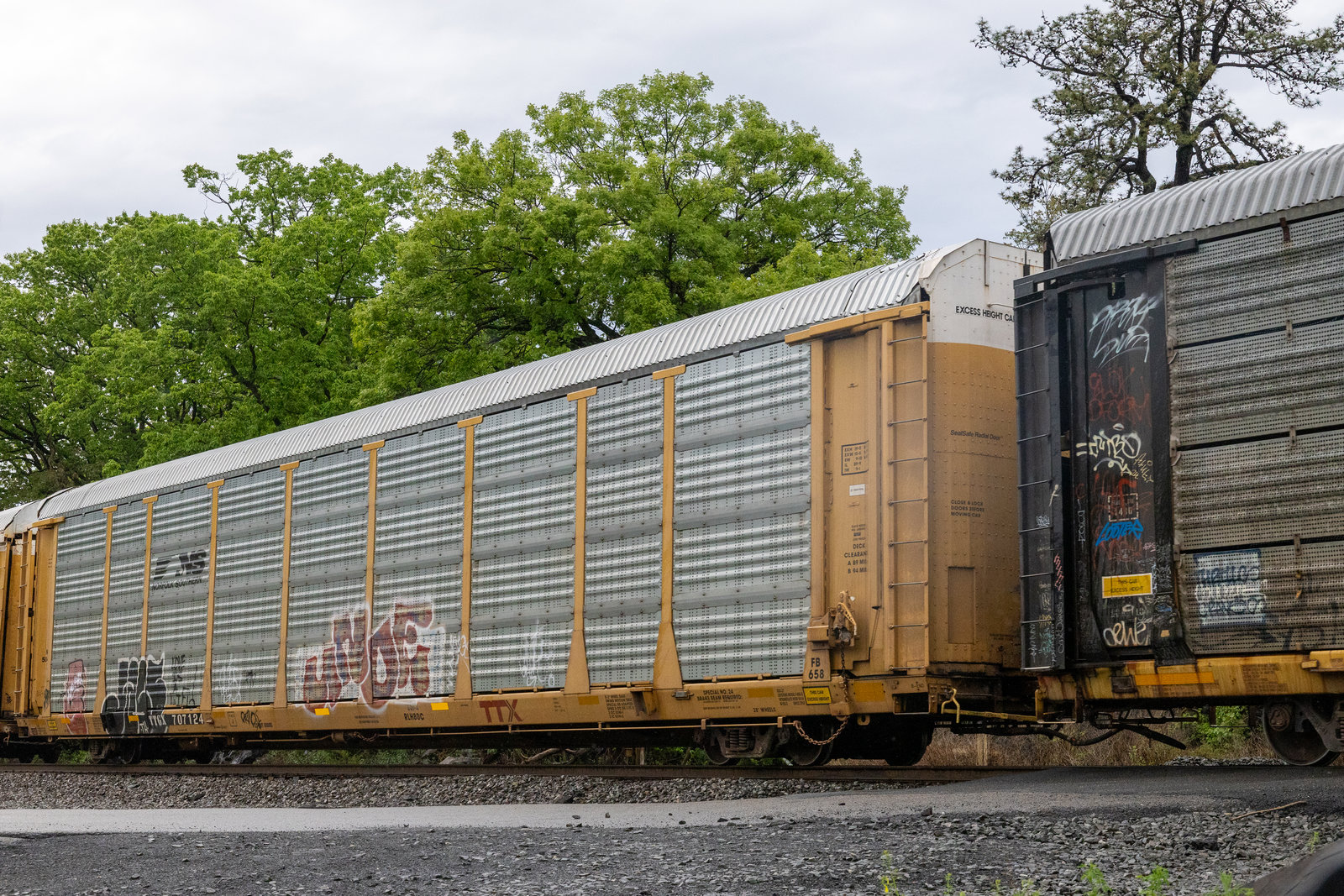 TTGX 707124