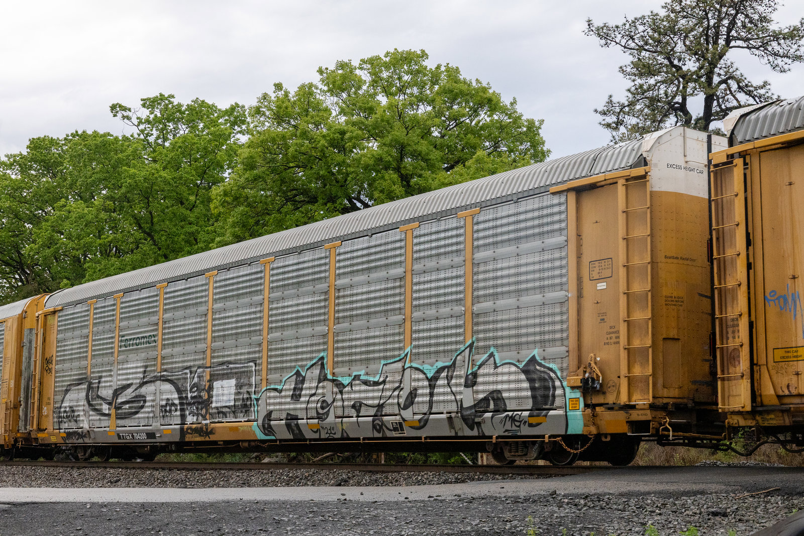 TTGX 704200