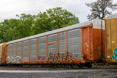 TTGX 952850