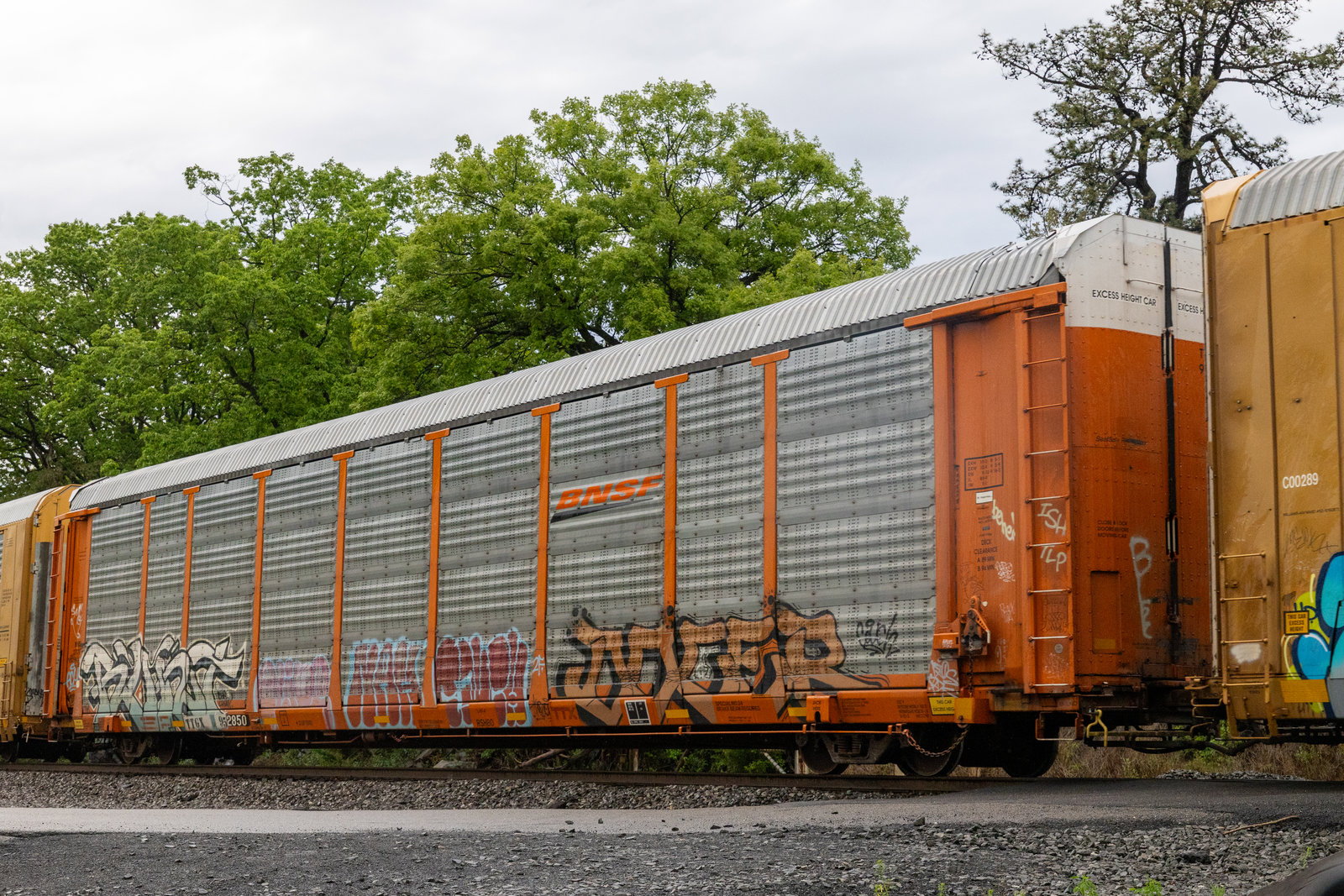 TTGX 952850