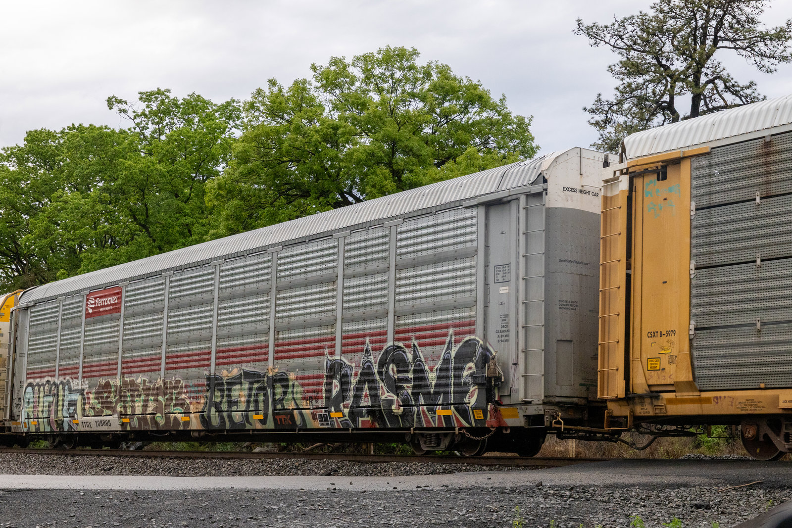 TTGX 708895