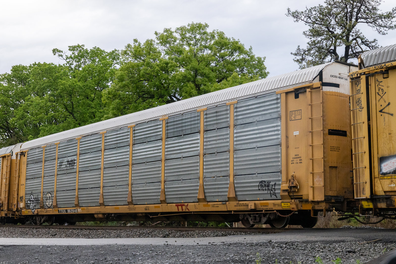 TTGX 962846