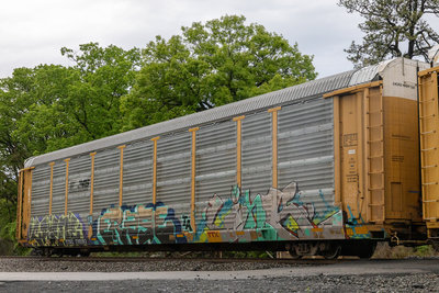 TTGX 710183