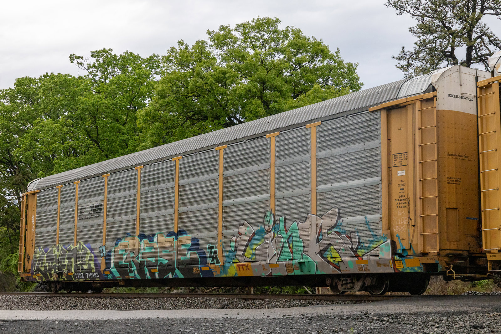 TTGX 710183