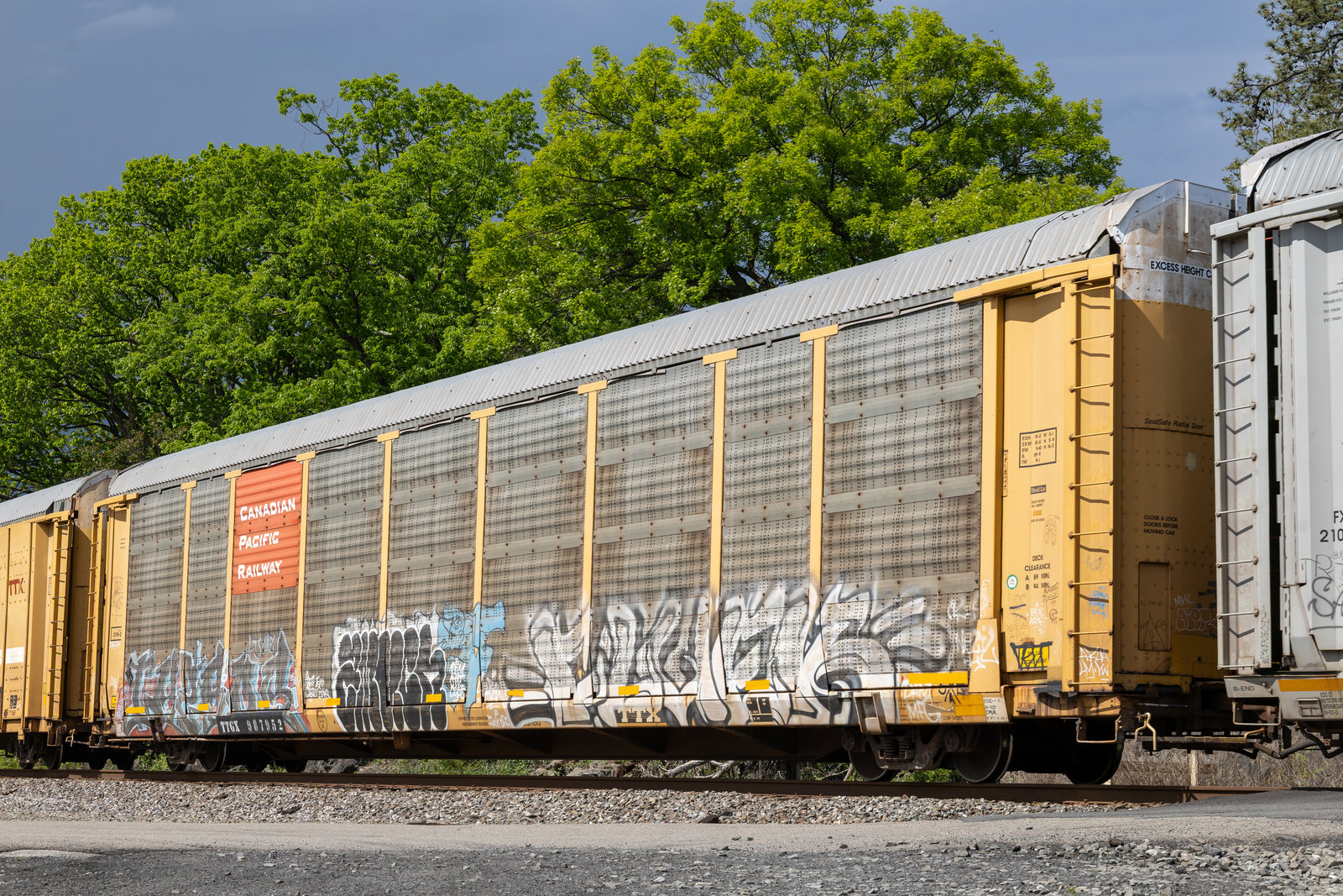 TTGX 987952
