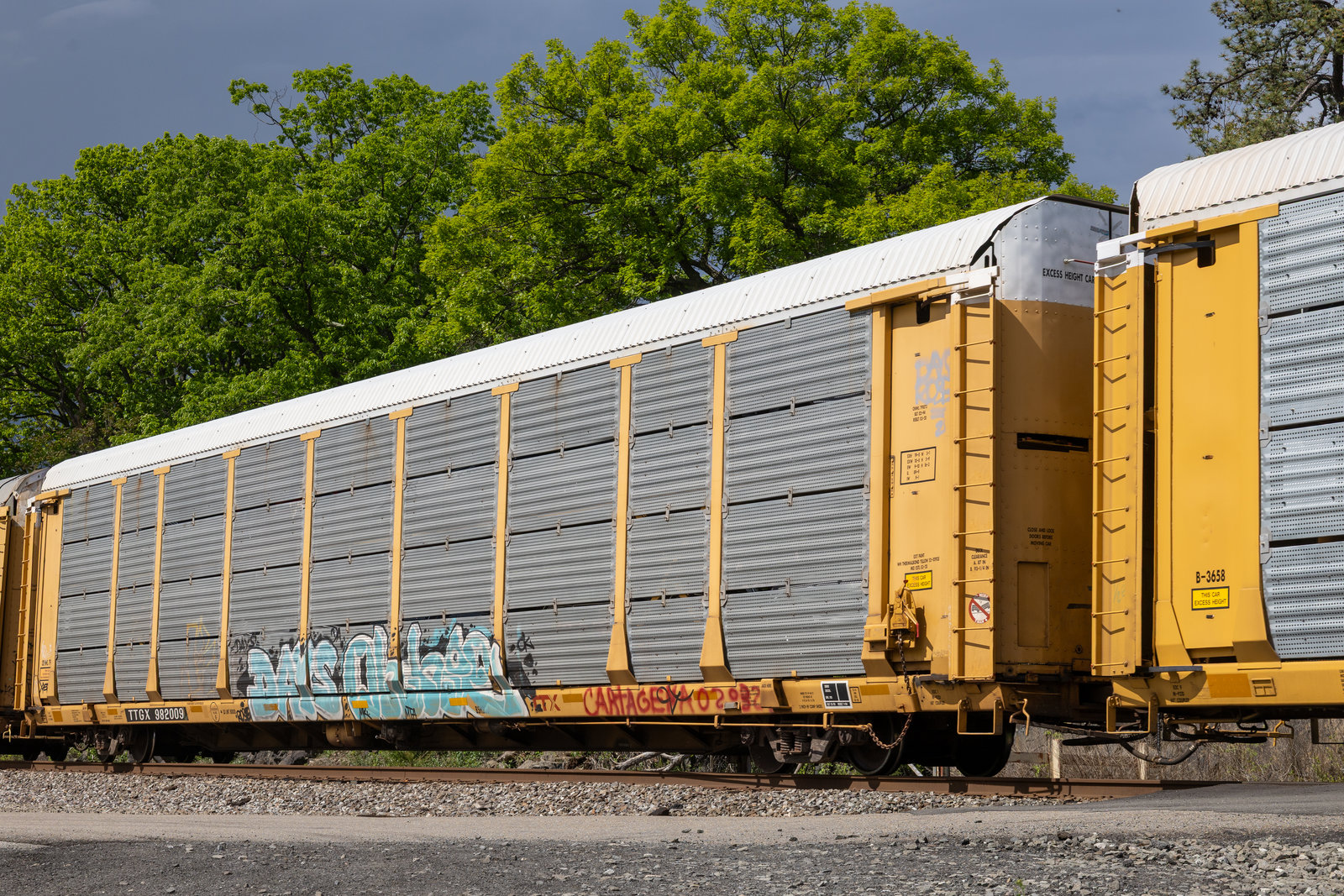 TTGX 982009
