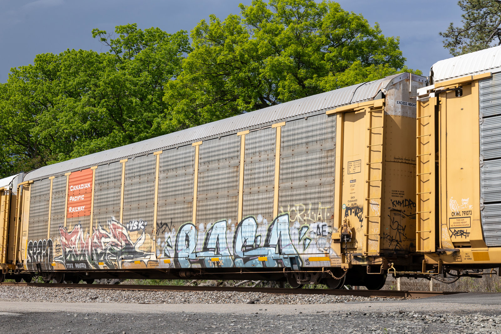 TTGX 988553