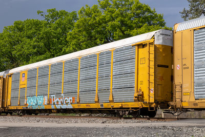TTGX 981356