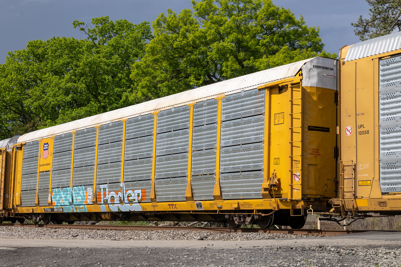 TTGX 981356