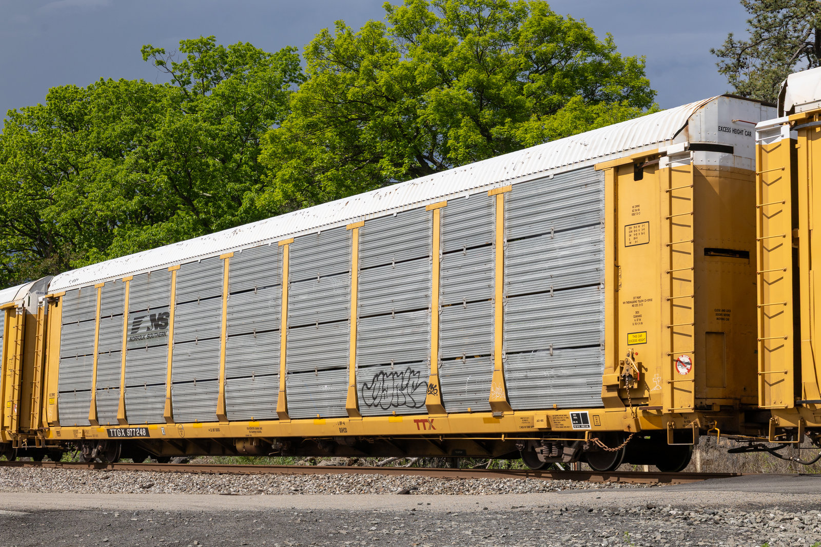TTGX 977248