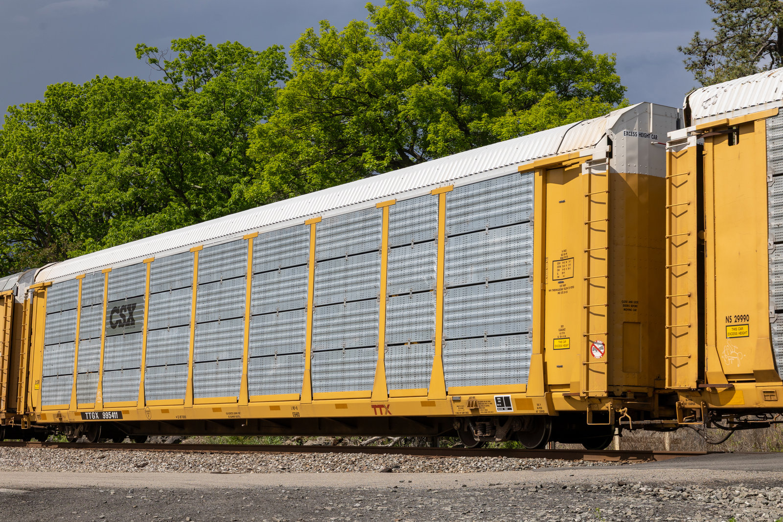 TTGX 995411