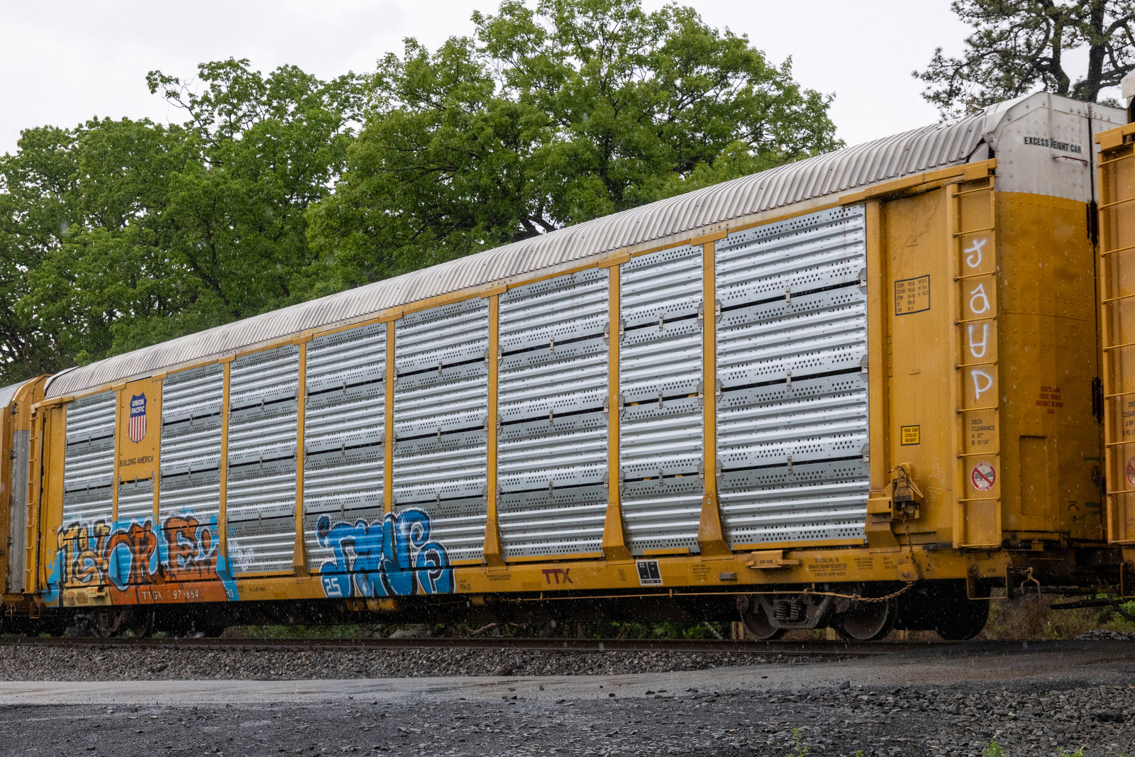 TTGX 973864