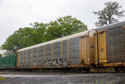 TTGX 980242