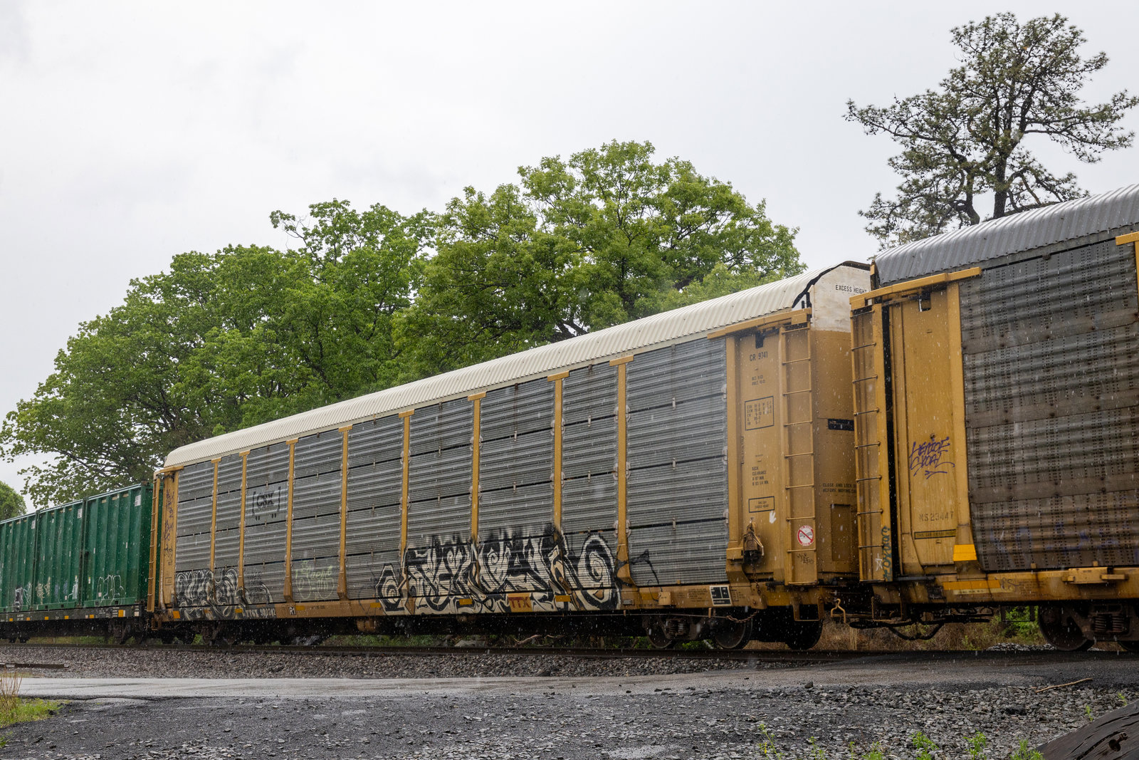TTGX 980242