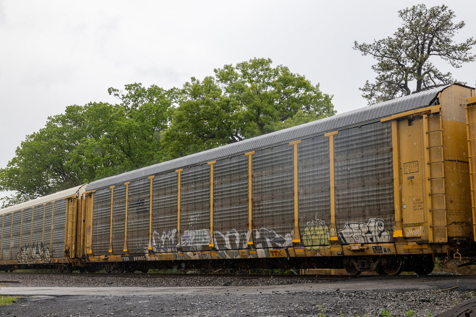 TTGX 991955