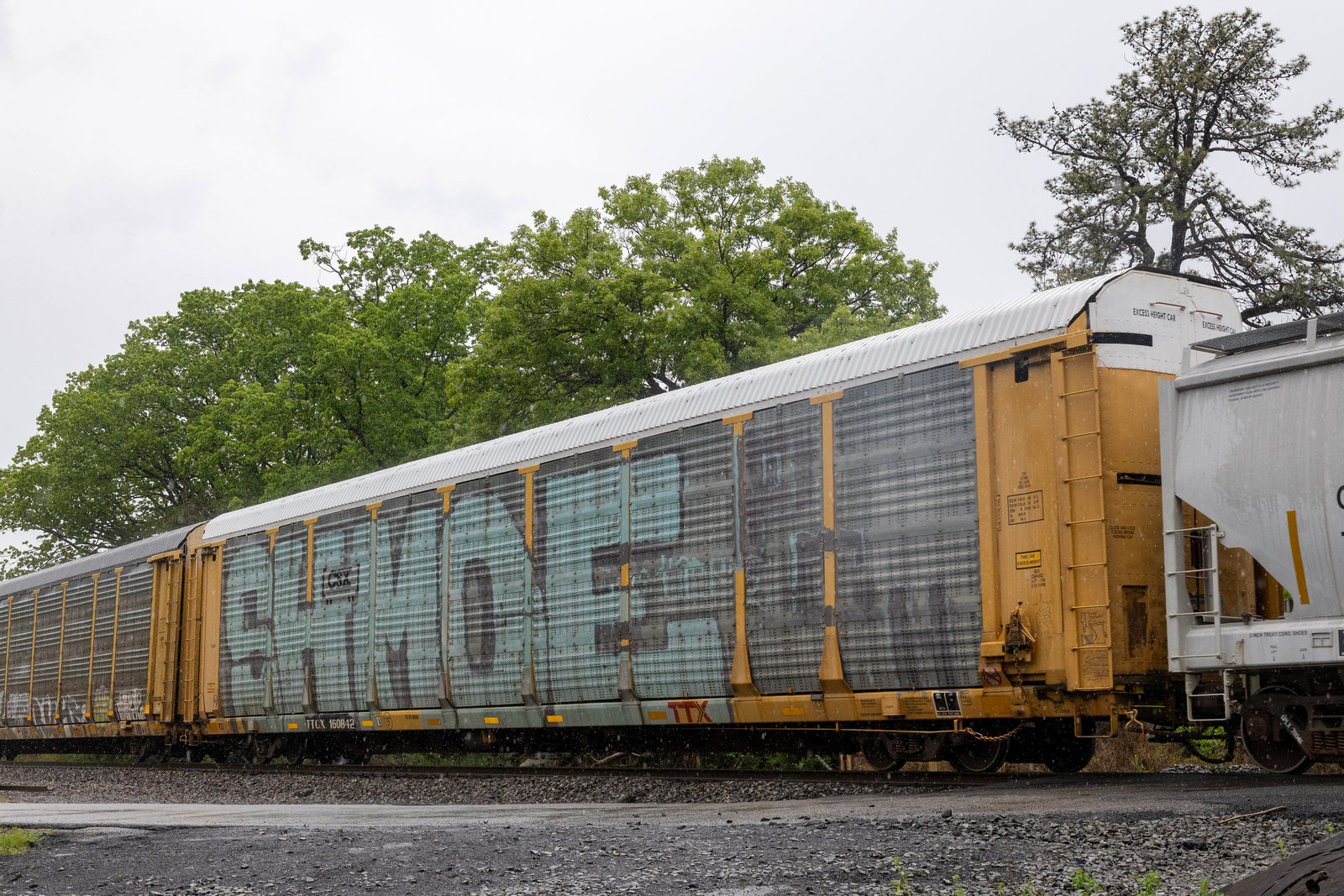 TTGX 160842