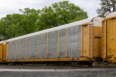 TTGX 993213