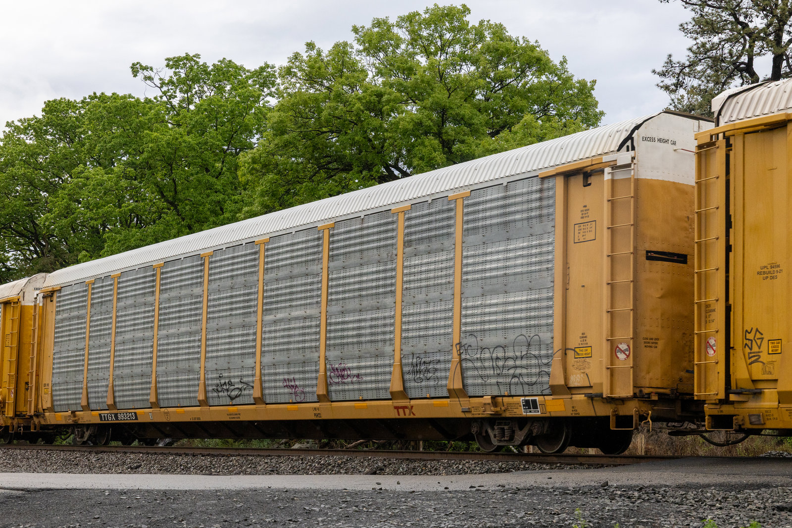 TTGX 993213