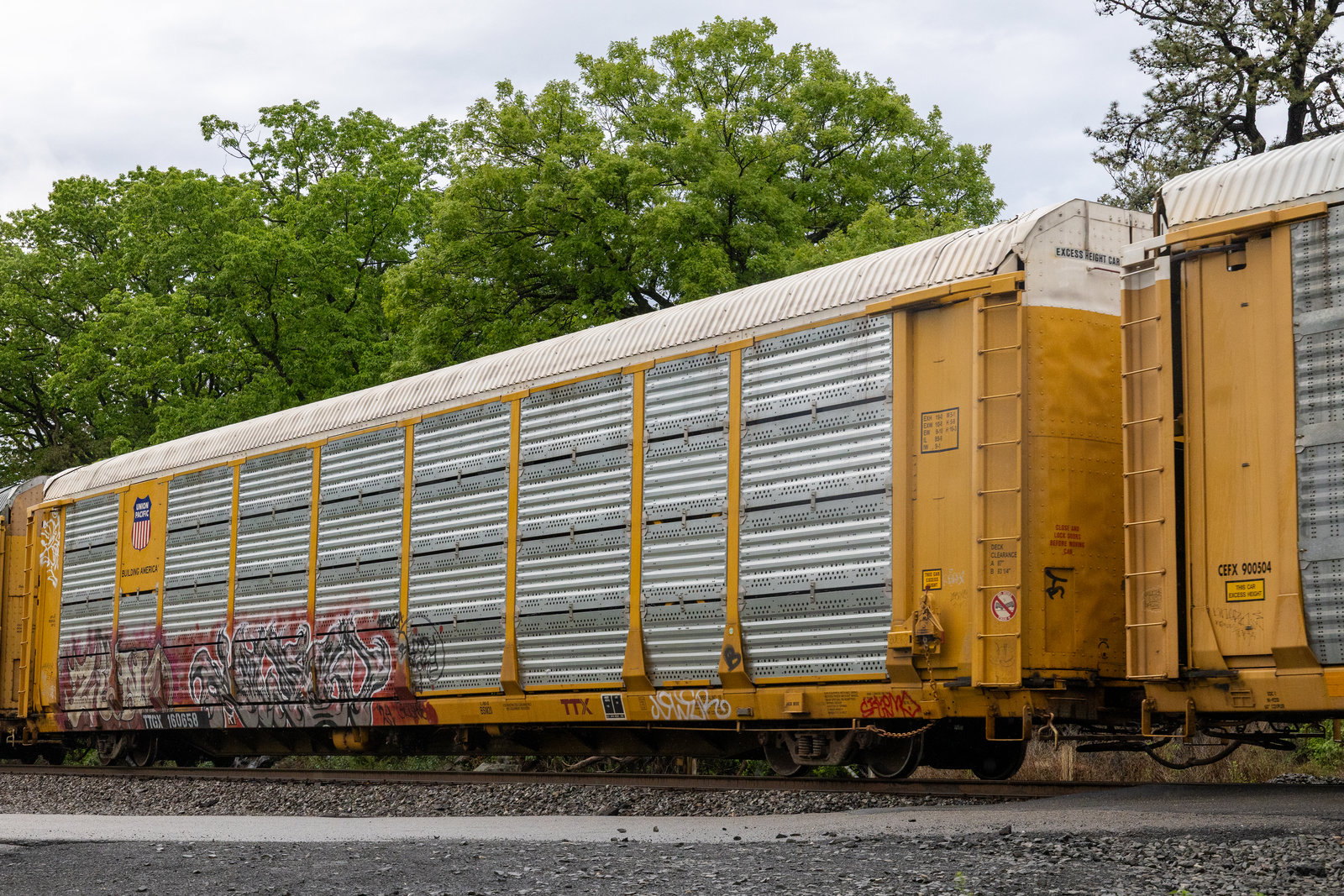 TTGX 160658