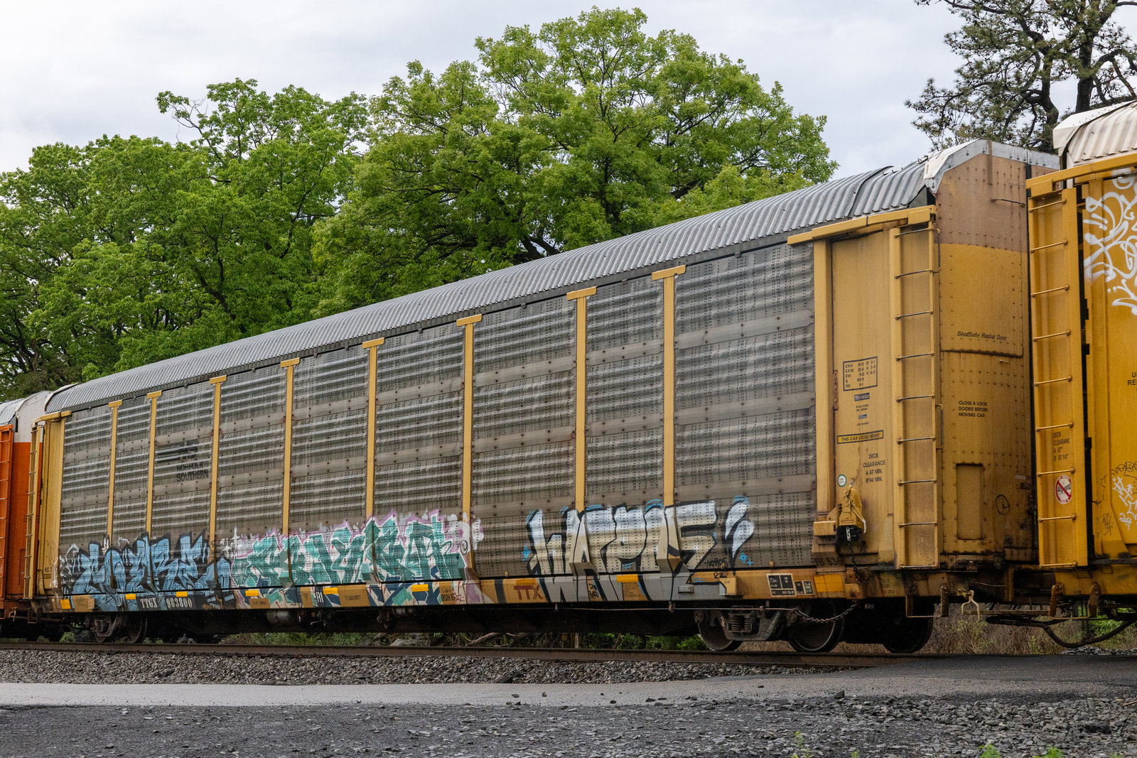 TTGX 983800