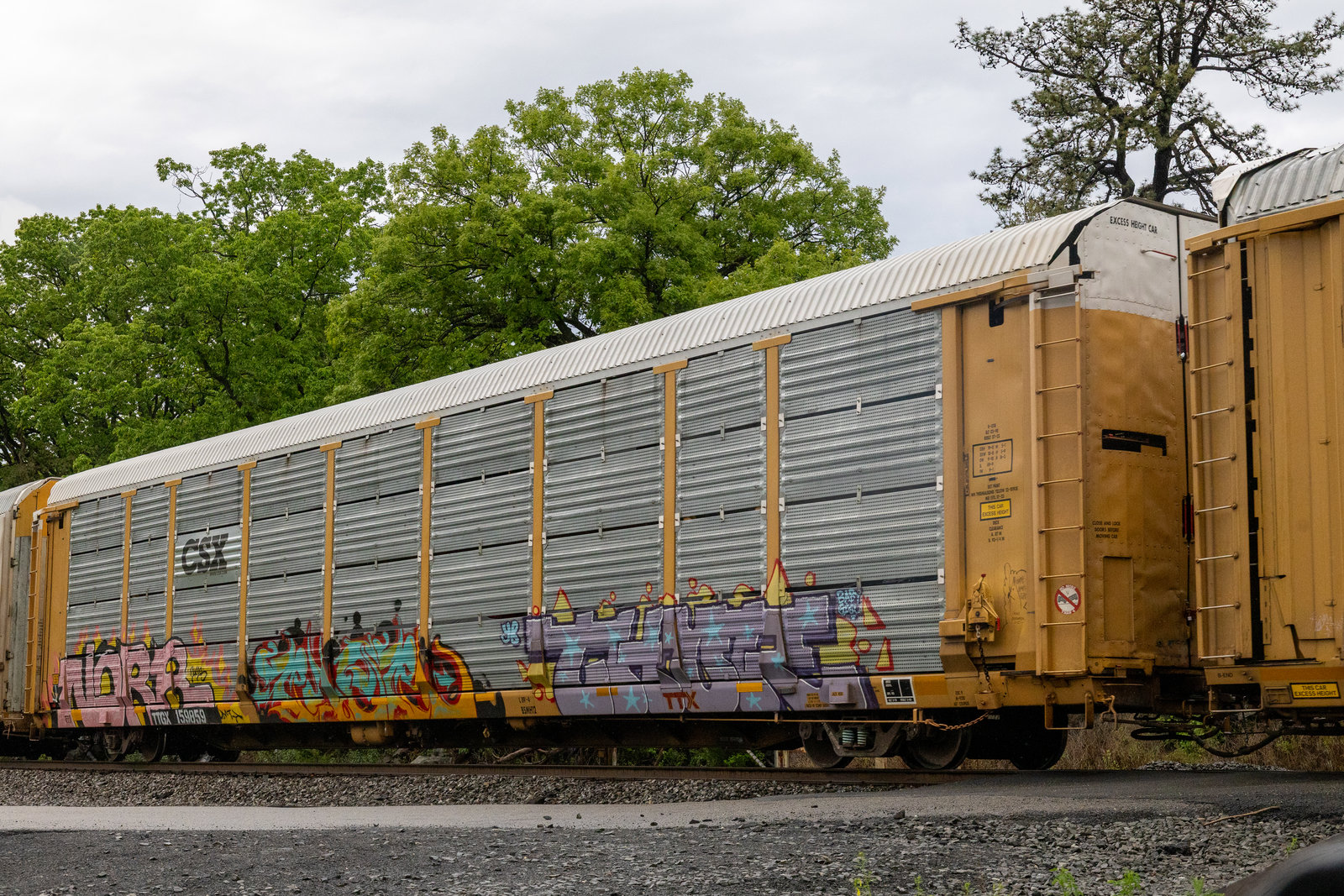 TTGX 159859