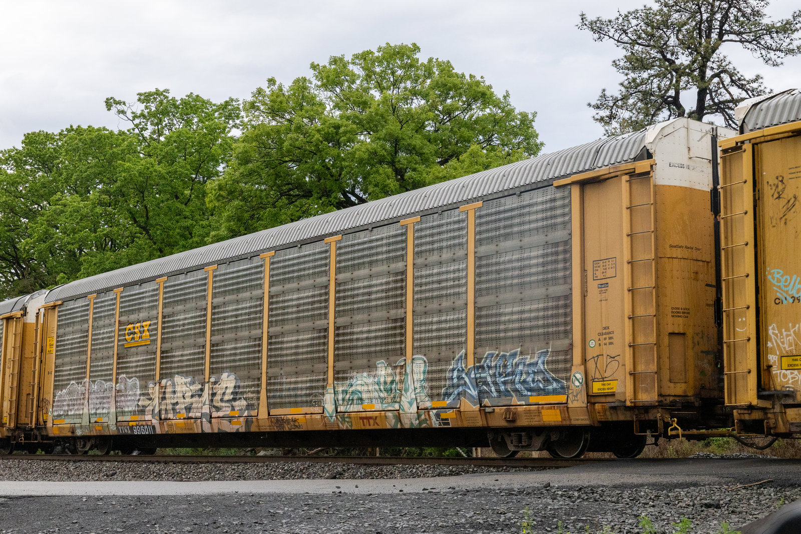 TTGX 996011