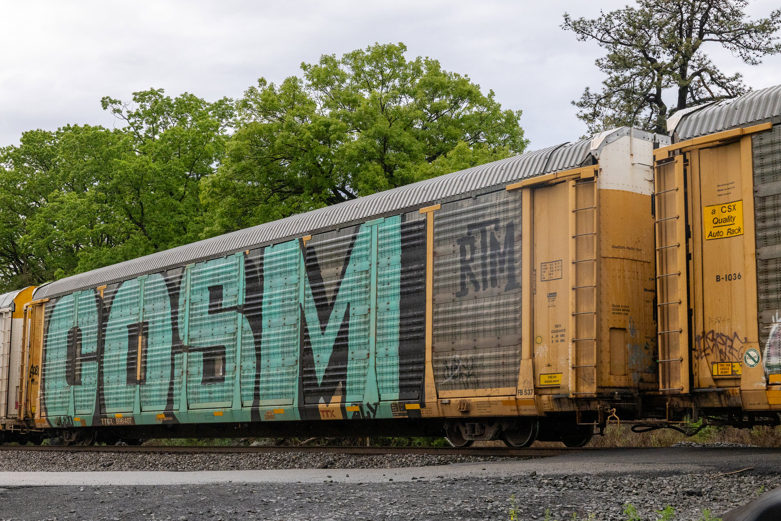 TTGX 996407