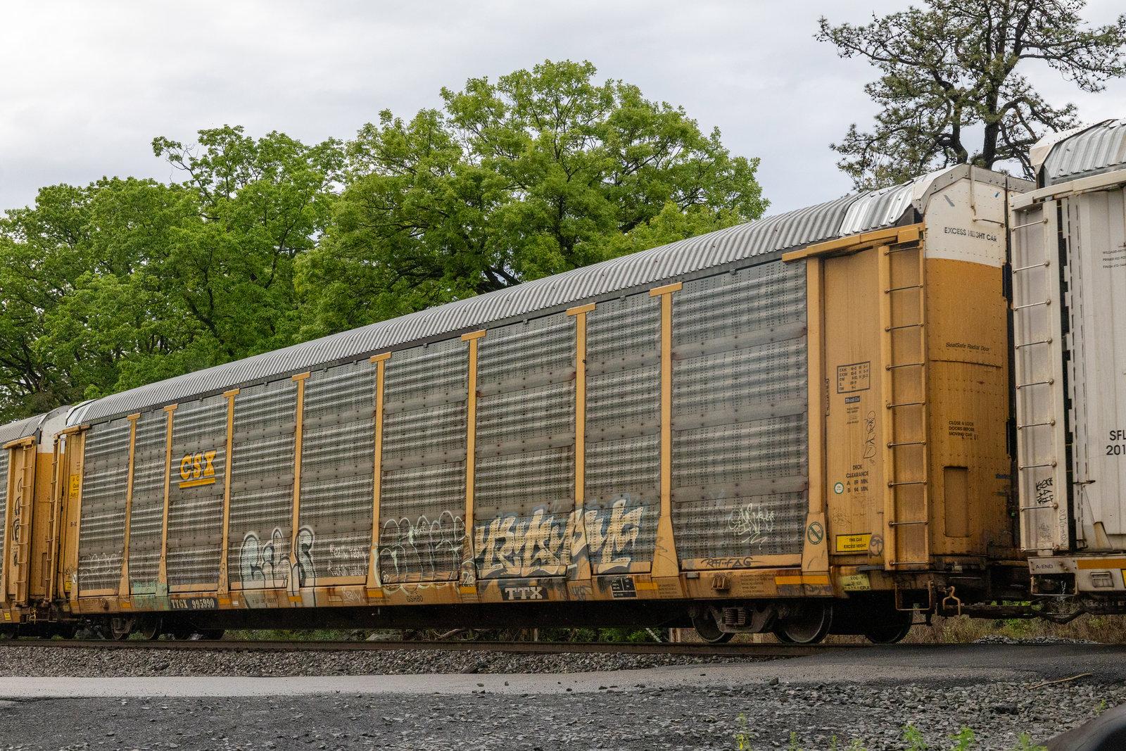 TTGX 995990