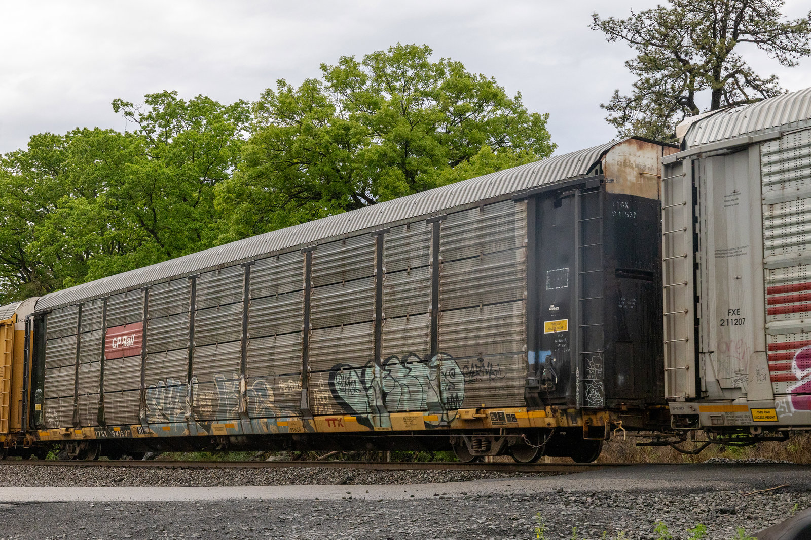 TTGX 941537