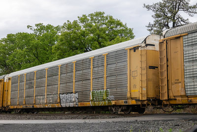 TTGX 963298
