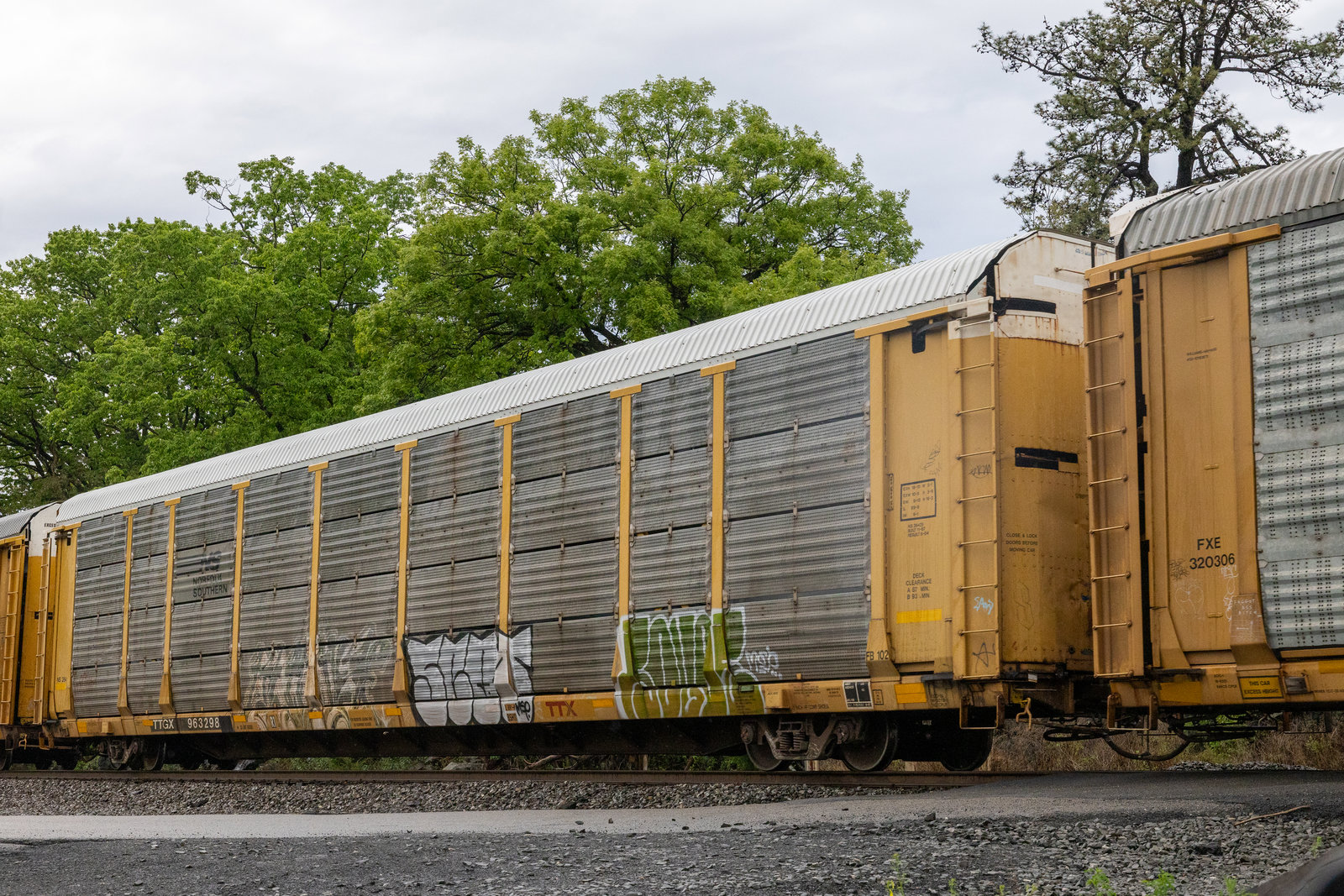 TTGX 963298