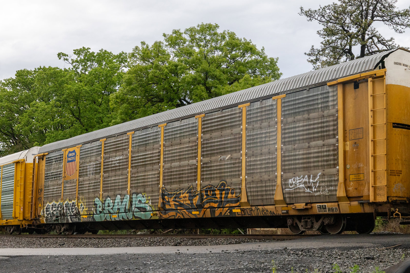 TTGX 990347